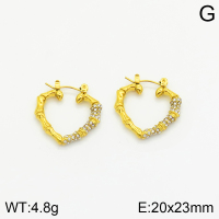 Stainless Steel Earrings  2E3001449vhkb-066