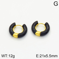 Stainless Steel Earrings  2E3001454bhva-066