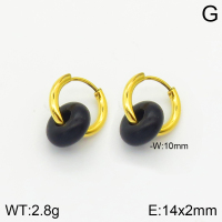 Stainless Steel Earrings  2E3001458bhva-066