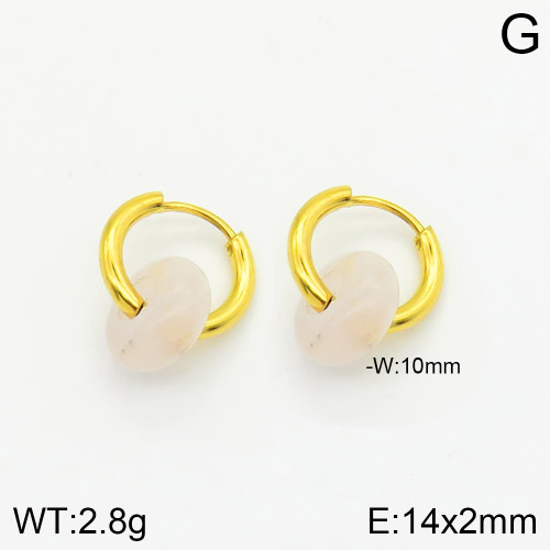 Stainless Steel Earrings  2E3001460bhva-066