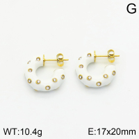 Stainless Steel Earrings  2E3001461bhia-066