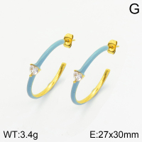 Stainless Steel Earrings  2E3001475vhkb-066