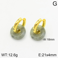 Stainless Steel Earrings  2E3001484bhia-066