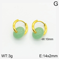 Stainless Steel Earrings  2E3001490bhva-066
