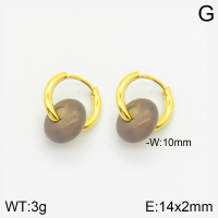 Stainless Steel Earrings  2E3001491bhva-066