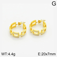 Stainless Steel Earrings  2E3001492bhia-066