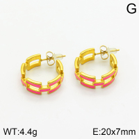 Stainless Steel Earrings  2E3001494bhia-066