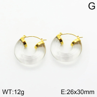 Stainless Steel Earrings  2E3001497vhkb-066