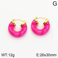 Stainless Steel Earrings  2E3001498vhkb-066