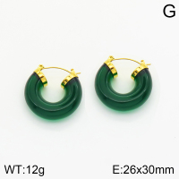 Stainless Steel Earrings  2E3001499vhkb-066