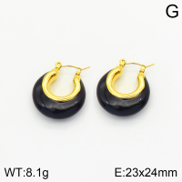 Stainless Steel Earrings  2E3001502vhkb-066