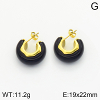 Stainless Steel Earrings  2E3001503bhia-066