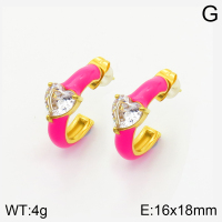 Stainless Steel Earrings  2E3001506bhia-066