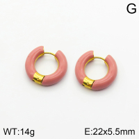 Stainless Steel Earrings  2E3001510bhva-066