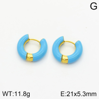 Stainless Steel Earrings  2E3001511bhva-066
