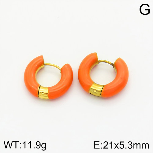 Stainless Steel Earrings  2E3001513bhva-066