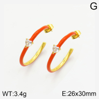 Stainless Steel Earrings  2E3001514vhkb-066