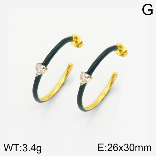 Stainless Steel Earrings  2E3001515vhkb-066