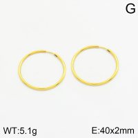 Stainless Steel Earrings  2E3001517bhva-066