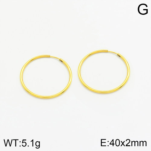 Stainless Steel Earrings  2E3001517bhva-066