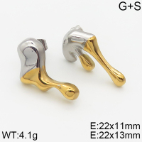 Stainless Steel Earrings  5E2002506bhia-066