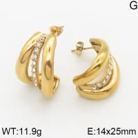 Stainless Steel Earrings  5E4002386bhia-066