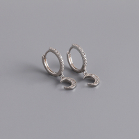 925 Silver Earrings  WT:1.3g  19.5*11.8mm
P:5.8mm  JE4301aiip-Y10  EH1155