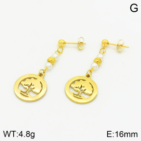 Stainless Steel Earrings  2E3001413baka-698