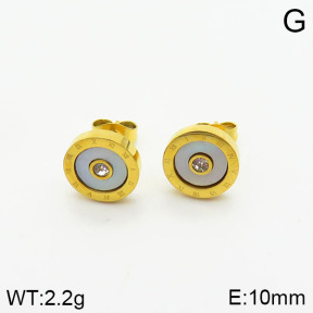 Stainless Steel Earrings  2E3001415vbnb-743