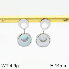 Stainless Steel Earrings  2E3001418bhbl-743