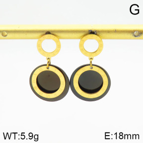 Stainless Steel Earrings  2E4002323vhha-743