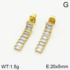 Stainless Steel Earrings  2E4002327bbml-743