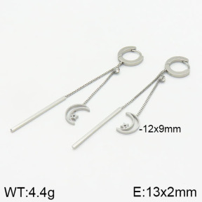 Stainless Steel Earrings  2E4002342vbpb-743