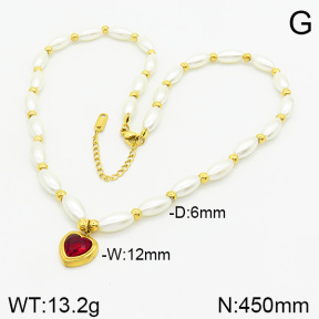Stainless Steel Necklace  2N3001162vbpb-434