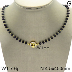 Stainless Steel Necklace  2N4001950vhkl-743