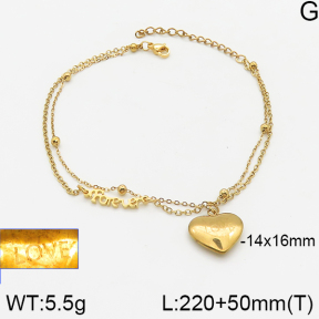 Stainless Steel Anklets  5A9000819ablb-696