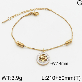 Stainless Steel Anklets  5A9000847ablb-696