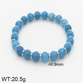 Stainless Steel Bracelet  5B4002204bhva-232