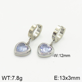 Stainless Steel Earrings  2E4002393bbml-434