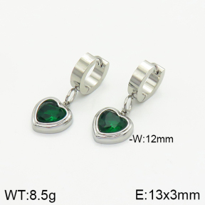 Stainless Steel Earrings  2E4002394bbml-434