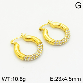 Stainless Steel Earrings  2E4002397vhhl-434