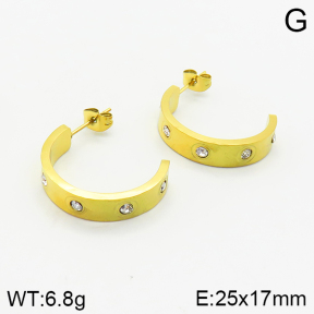 Stainless Steel Earrings  2E4002399vbnb-434