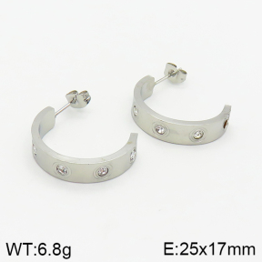 Stainless Steel Earrings  2E4002400bbml-434