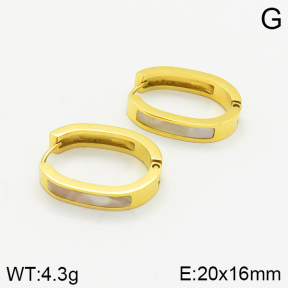 Stainless Steel Earrings  2E4002401bvpl-434