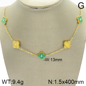 Stainless Steel Necklace  2N4001960bhia-669