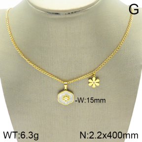Stainless Steel Necklace  2N4001964bvpl-669