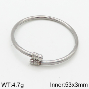 Stainless Steel Bangle  5BA200933aajl-312