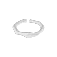 925 Silver Ring  WT:3.58g  4.45mm  JR4642ailo-Y24  
JZ855