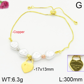 Tiffany & Co  Fashion  Copper Necklaces  PB0173411bhia-J39
