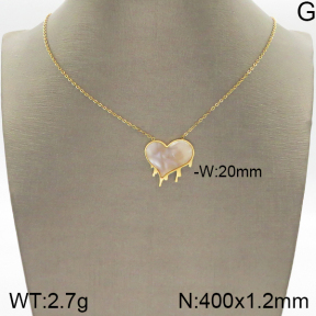 Stainless Steel Necklace  5N3000593bbov-493